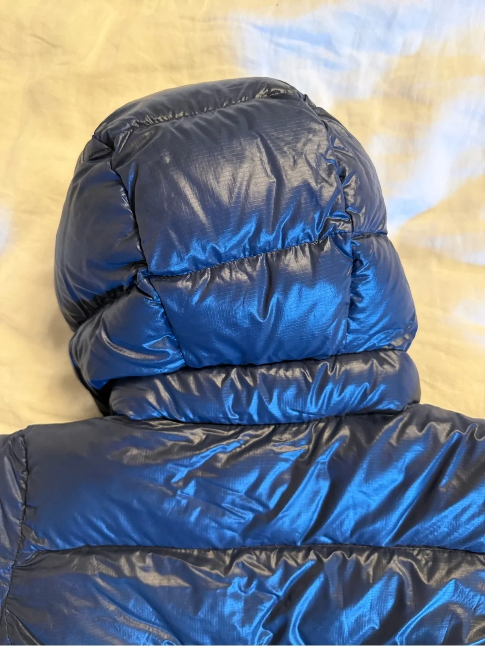 Patagonia Baby Hi-Loft Down Sweater Hoody